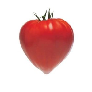Tomates côtelées rouge "cœur de bœuf" BIO du Finistère Nord - Direct producteur (pack de 1kg), France