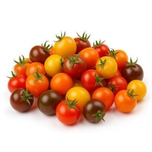 Barquette de tomates cocktail 4 couleurs BIO du Finistère Nord - Direct producteur (400 g), France