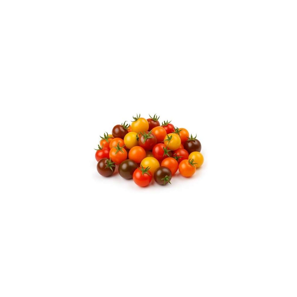 Barquette de tomates cocktail 4 couleurs BIO du Finistère Nord - Direct producteur (400 g), France