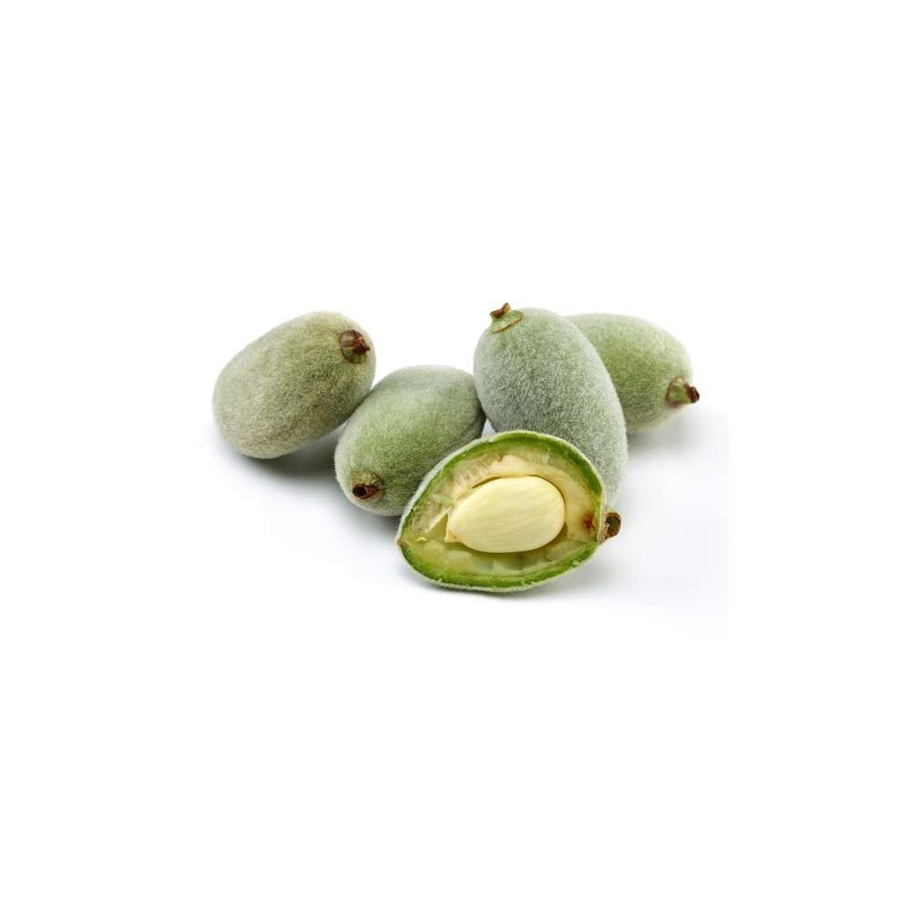 Amandes fraîches, France