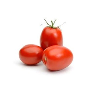 Tomates allongées "Roma" de la Sarthe, France