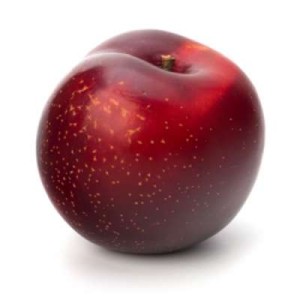 Prune rouge (pack de 300 g - 4 à 6 fruits), Espagne