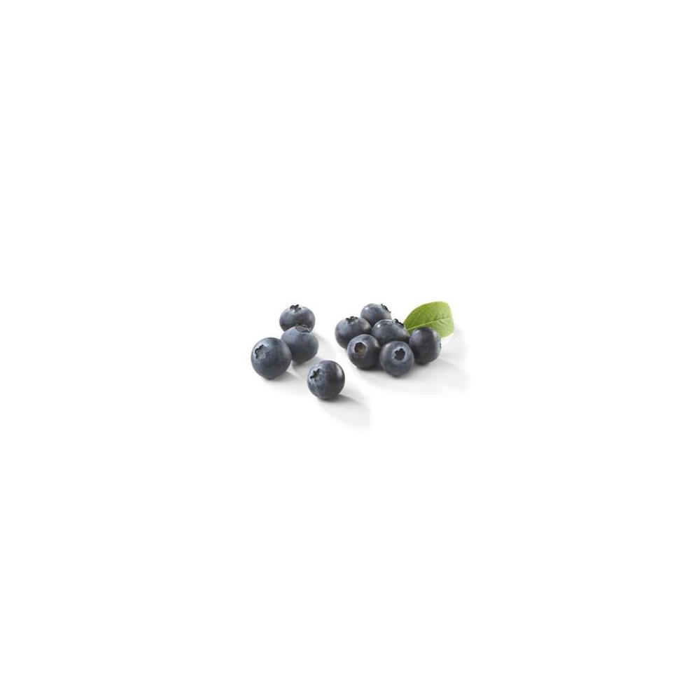Myrtilles (125 g), Maroc