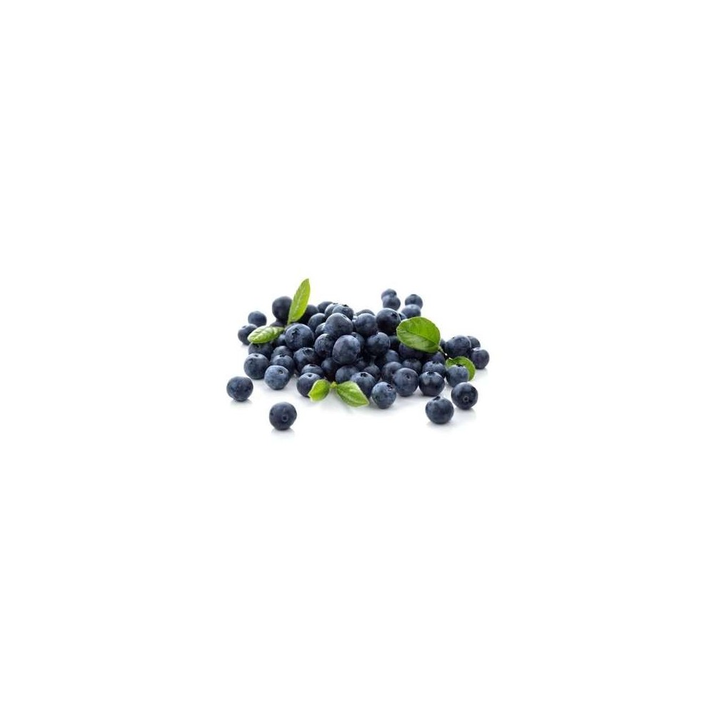 Lot de 2 barquettes de myrtilles (2 x 125 g), Chili / Pérou