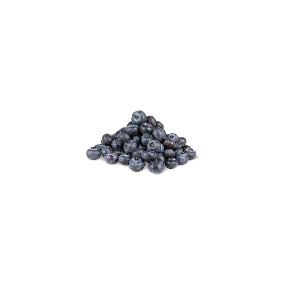 Seau de myrtilles (300 g), Maroc