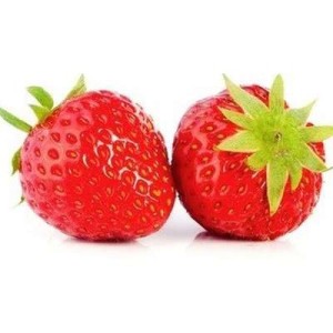 Barquette de fraises "mara des bois" (250 g), France