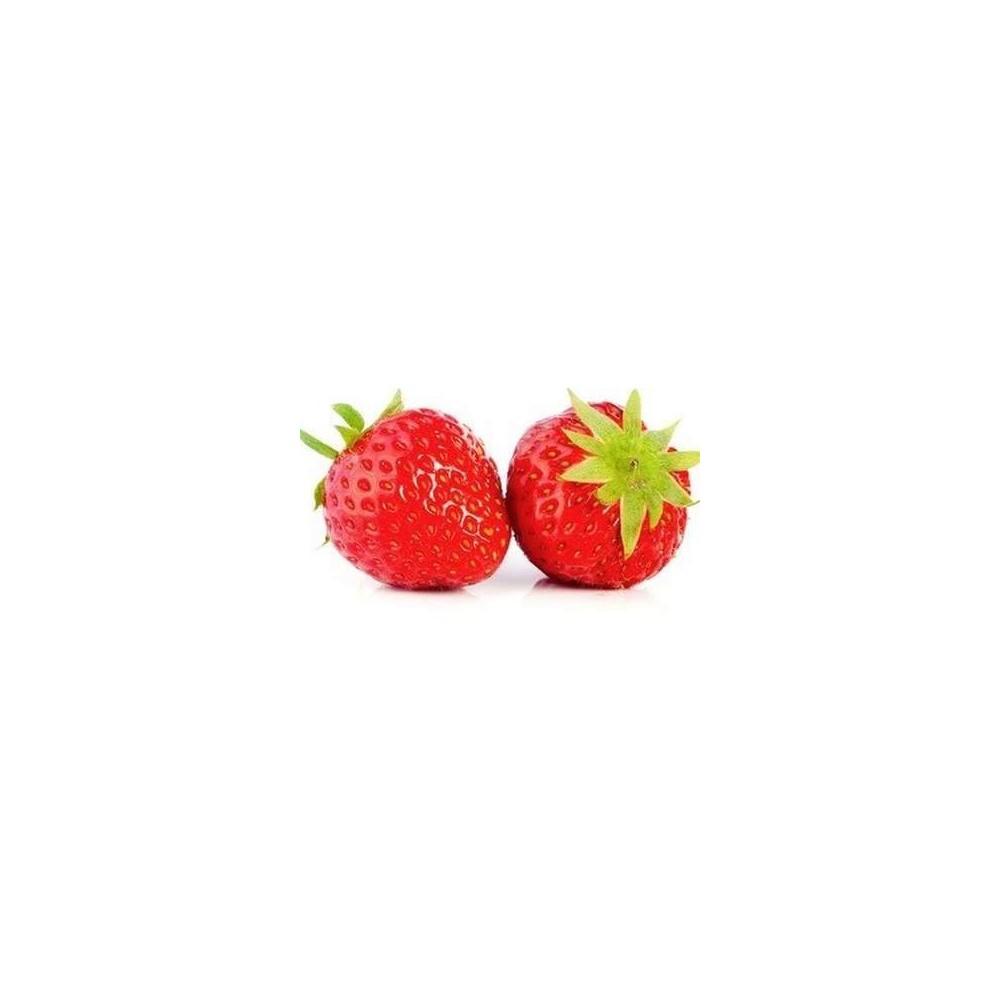 Barquette de fraises "mara des bois" (250 g), France