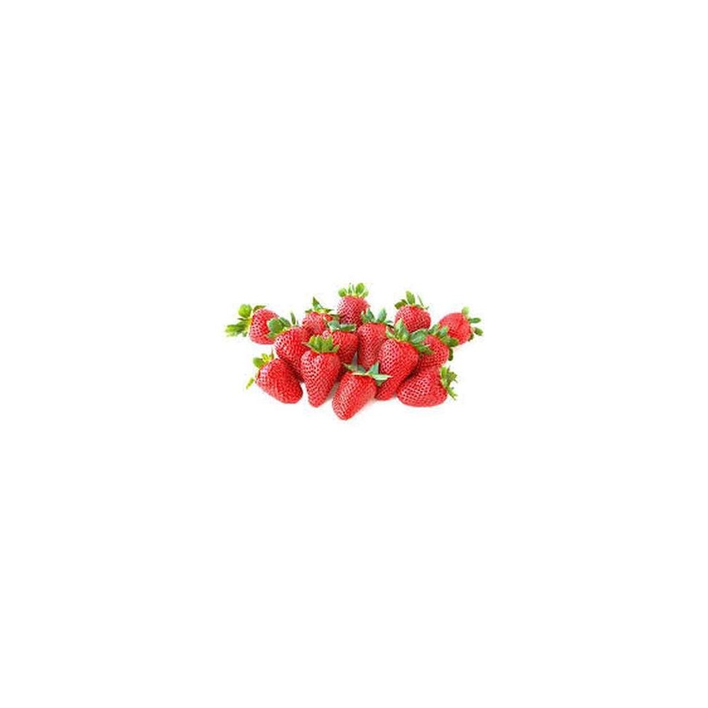 Plateau de fraises "gariguette" extra de Bretagne - Direct producteur (800 g), France