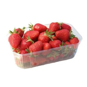 Barquette de fraises rondes du Loir-et-Cher (500 g), France