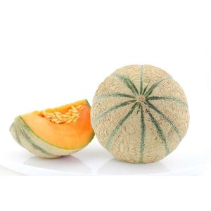 Melon charentais (calibre moyen), Espagne