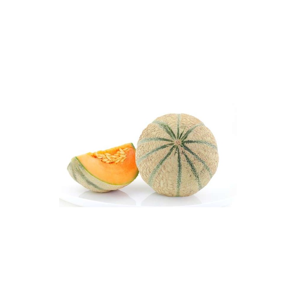 Melon charentais (calibre moyen), Espagne