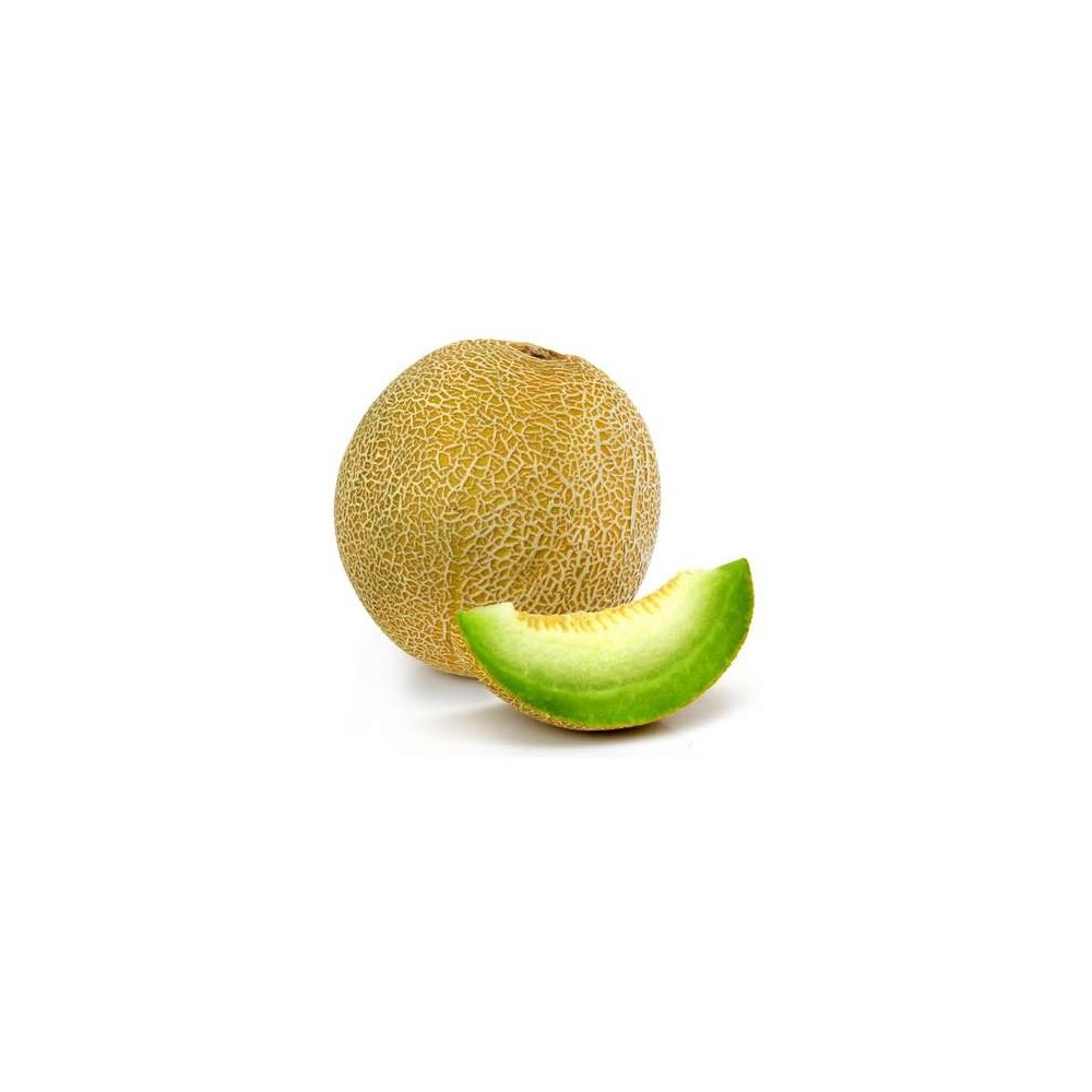 Melon galia (calibre moyen), Espagne