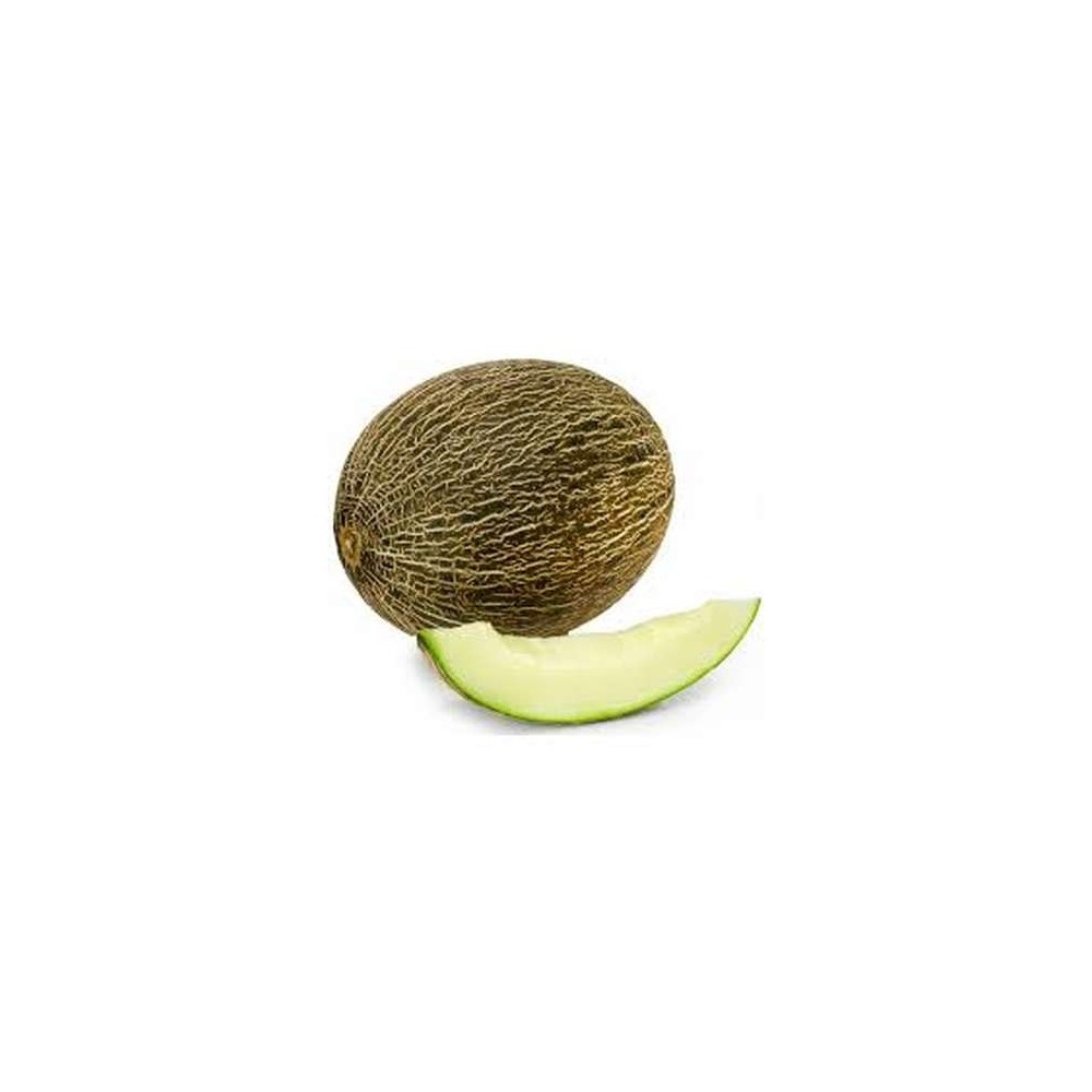 Melon vert (calibre moyen), Espagne