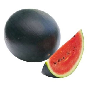 Baby pastèque noire d'Ille-et-Vilaine - direct producteur (de 0,7 à 0,9 kg) (petit calibre), France