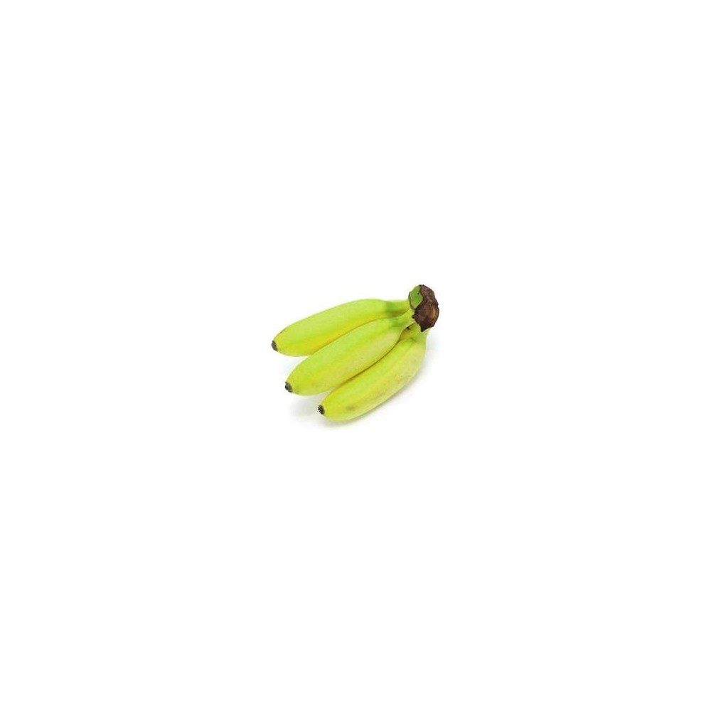 Mini Bananes Frecinette ou Bananito (barquette de 330 g), Équateur