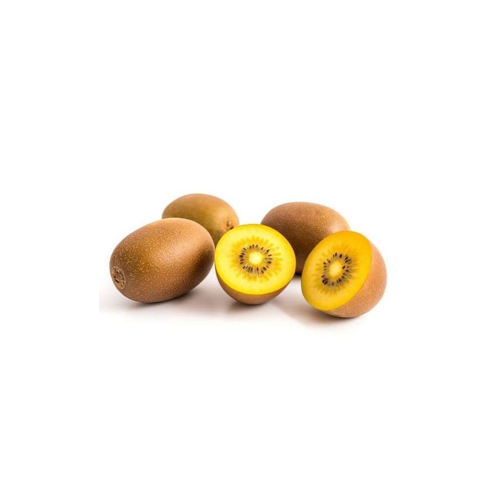 Lot de 4 kiwis Sungold BIO (calibre moyen), Nouvelle-Zélande