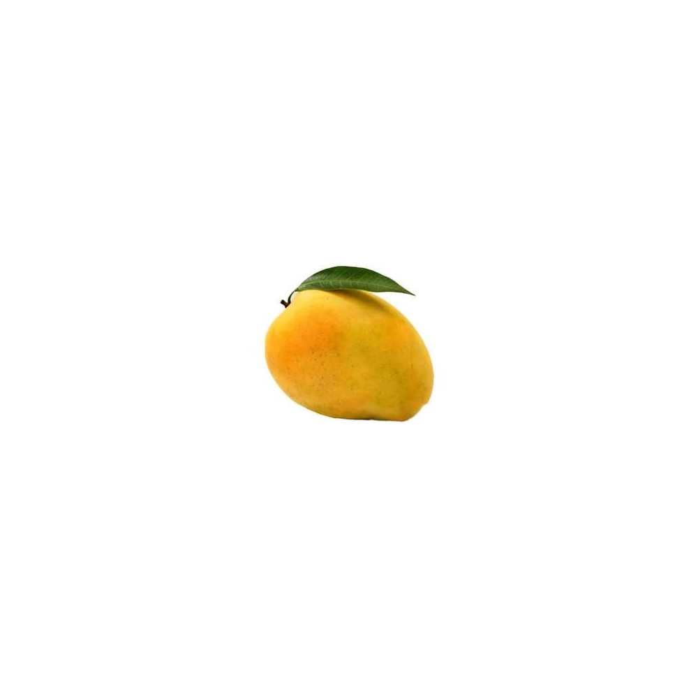 Mangue sauvage Mingolo "cueillie à maturité" (calibre moyen), République Dominicaine