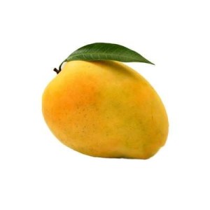 Mangue sauvage Mingolo "cueillie à maturité" (gros calibre), République Dominicaine