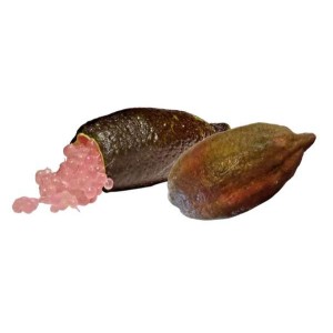 Citron caviar - perles rose, Fruits at Home (30 g)