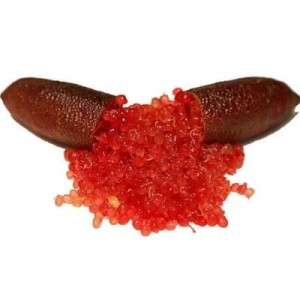Citron caviar - perles rouge, Fruits at Home (30 g)