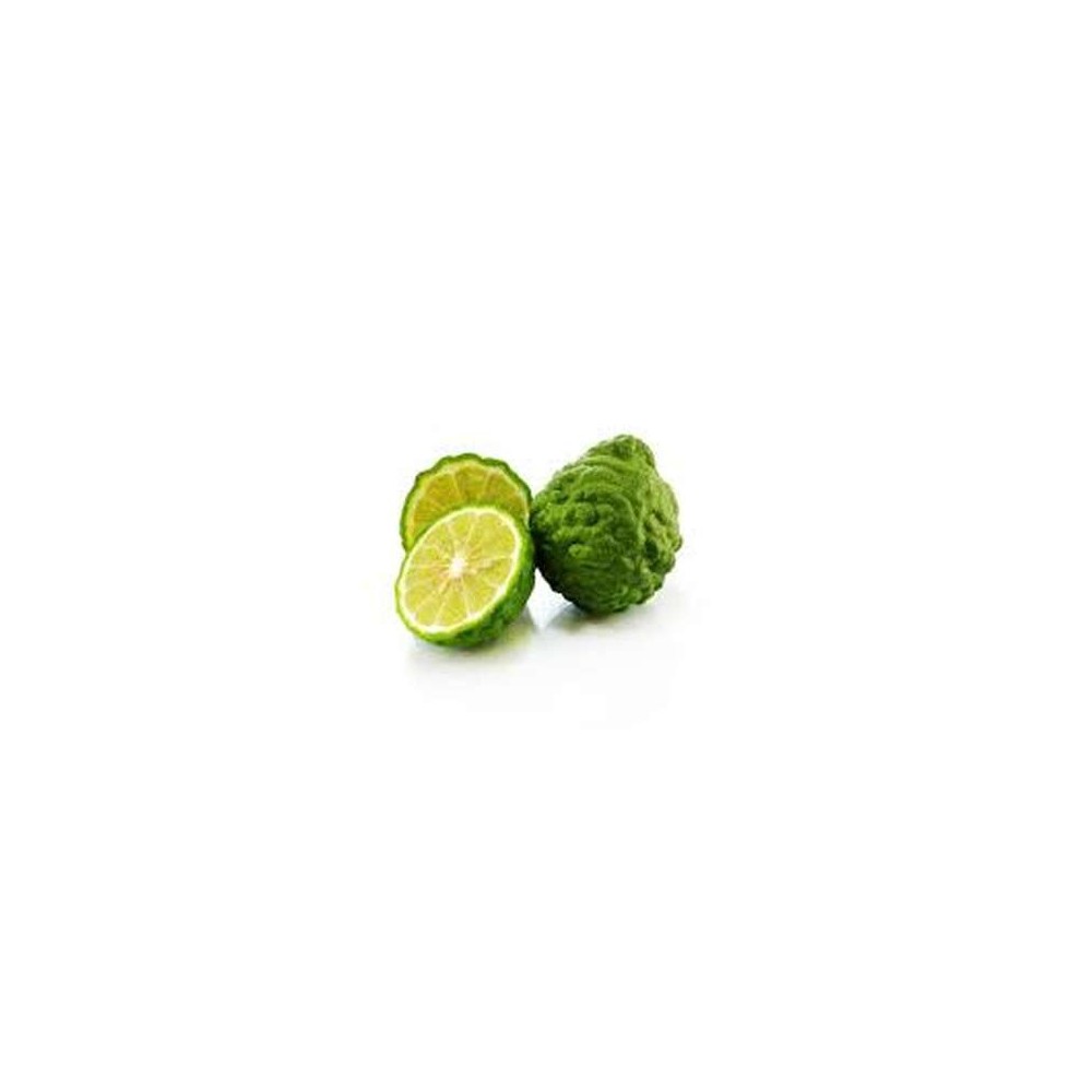 Combavas (calibre moyen), Indonésie