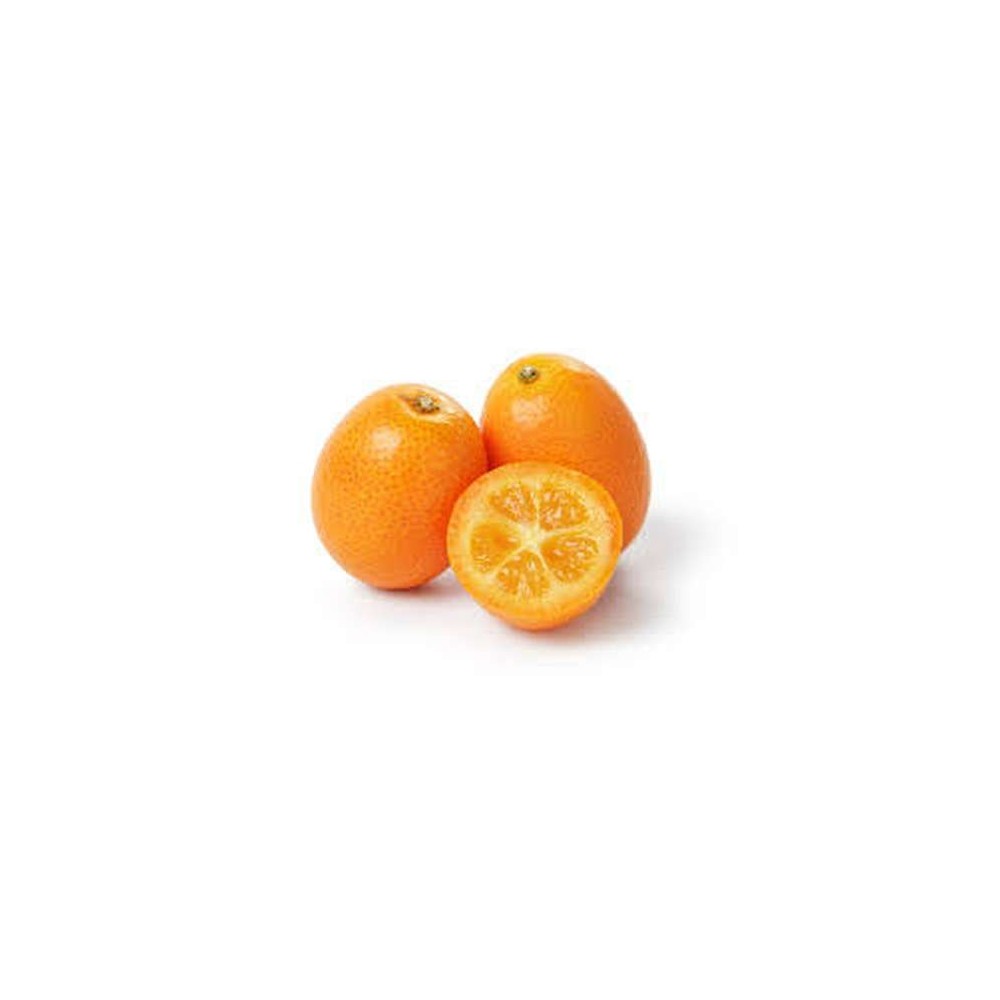 Kumquat, Afrique du Sud
