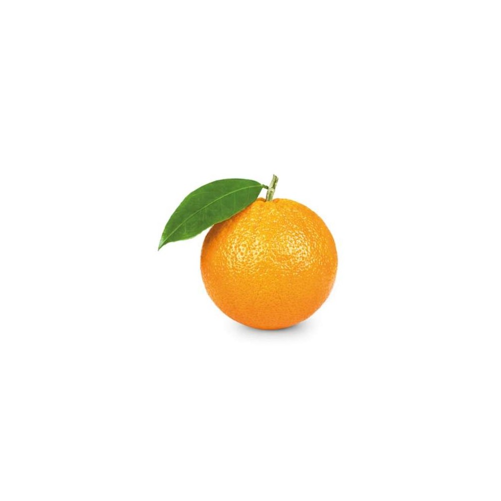 Orange de table BIO (gros calibre), Espagne
