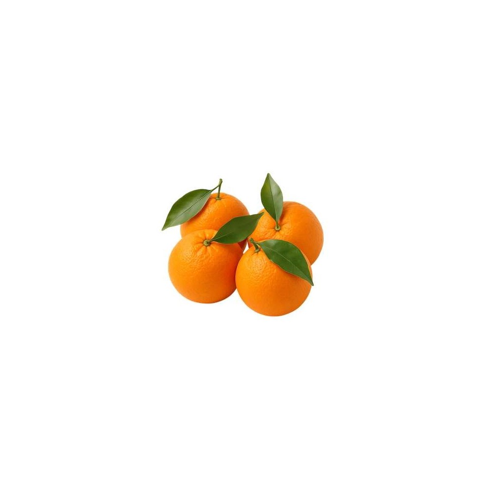 Lot de 4 oranges feuille (calibre moyen), Portugal