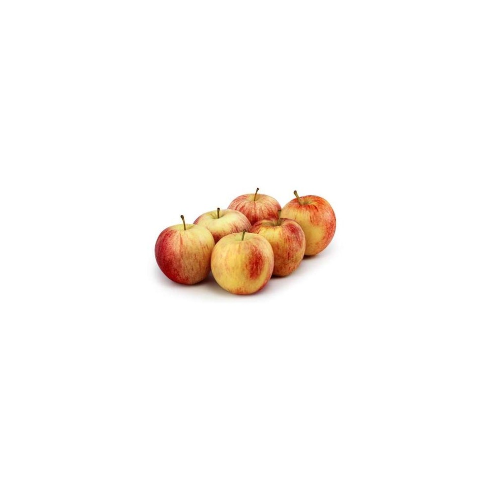 Lot de 6 pommes Gala HVE (calibre moyen), France