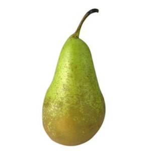 Poire Conférence (calibre moyen), Belgique