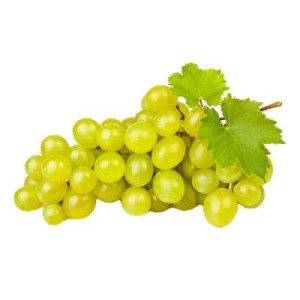 Raisin blanc sans pépin (barquette de 500 g), Egypte
