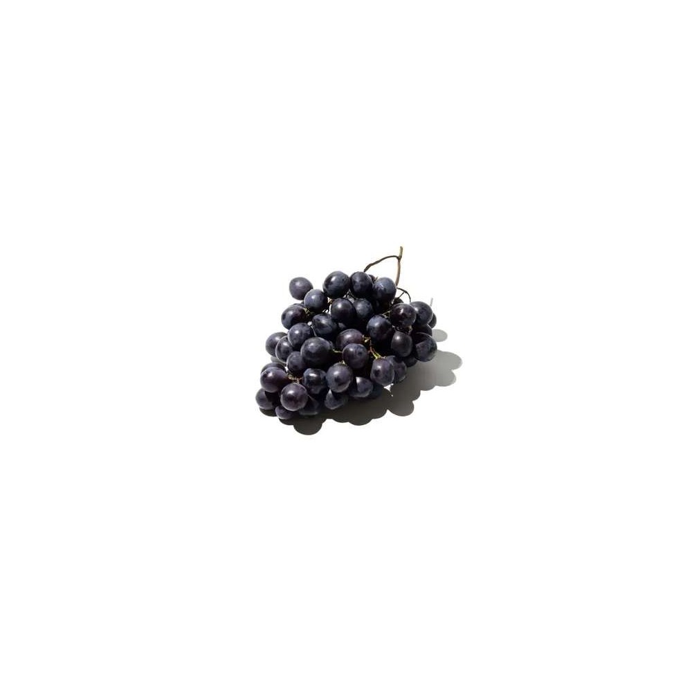 Raisin noir (barquette de 500 g), Chili