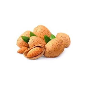 Amandes en coque sèche, France