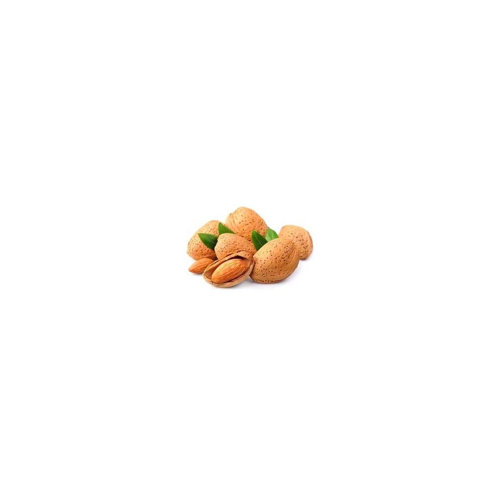 Amandes en coque sèche, France
