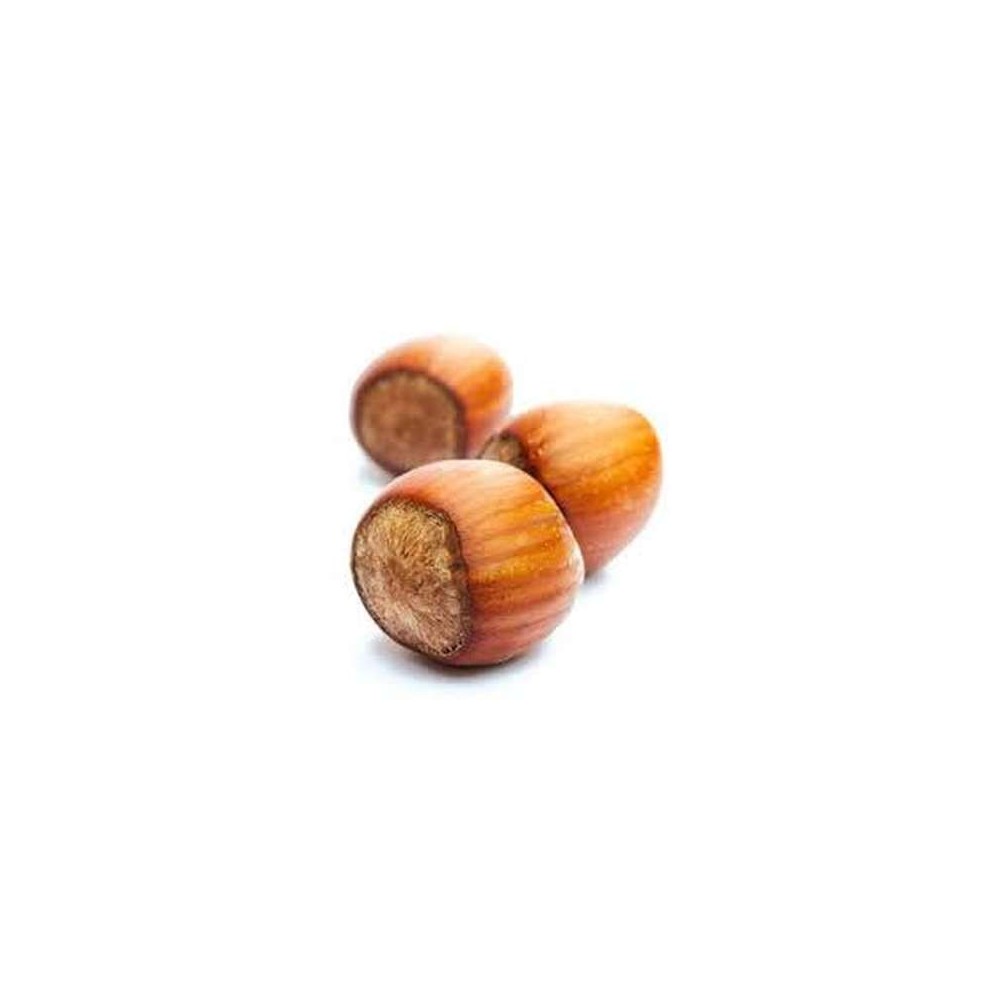 Noisettes sèches avec coque (environ 300 g), France