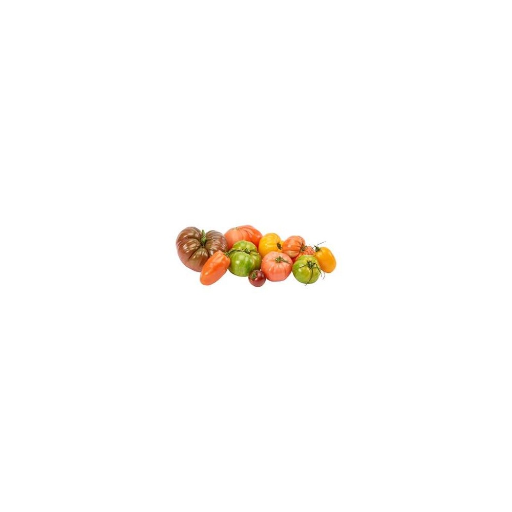 Barquette de tomates anciennes couleur de Bretagne - Direct producteur (750g), France