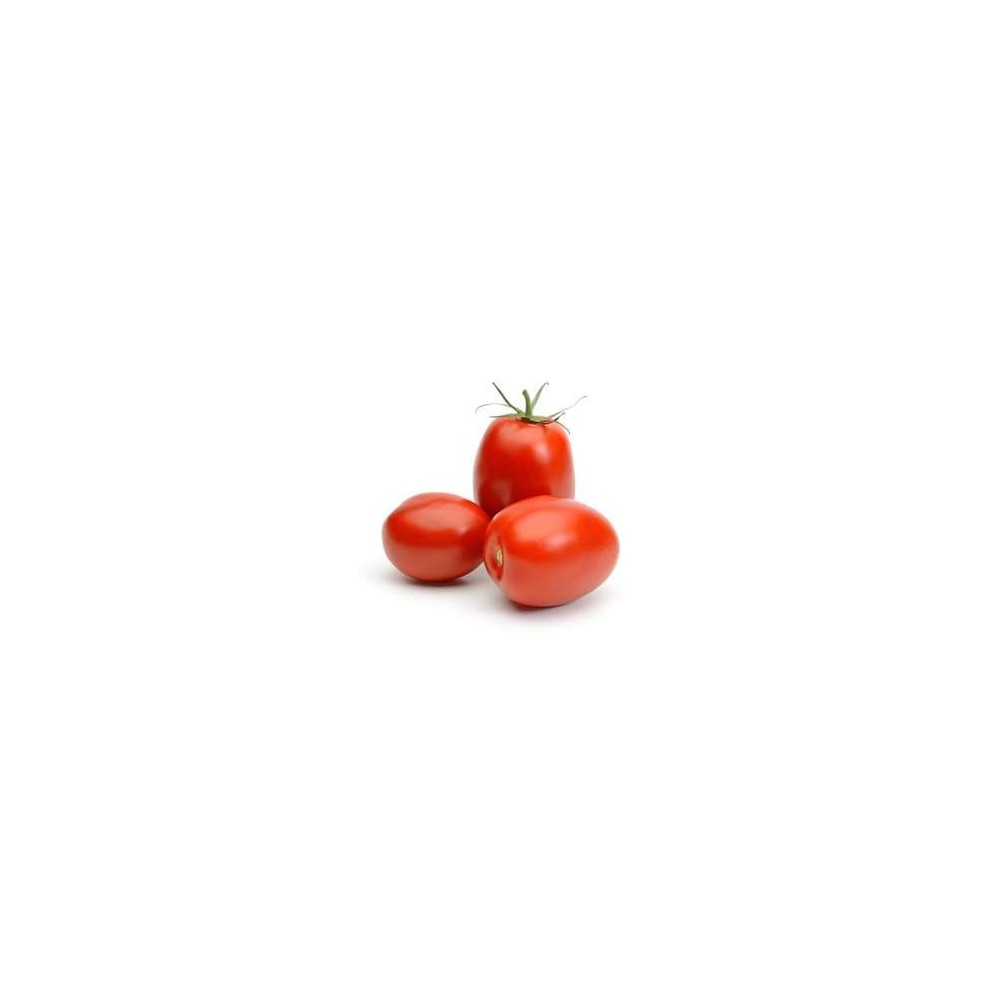 Tomates allongées "Roma" de la Sarthe, France