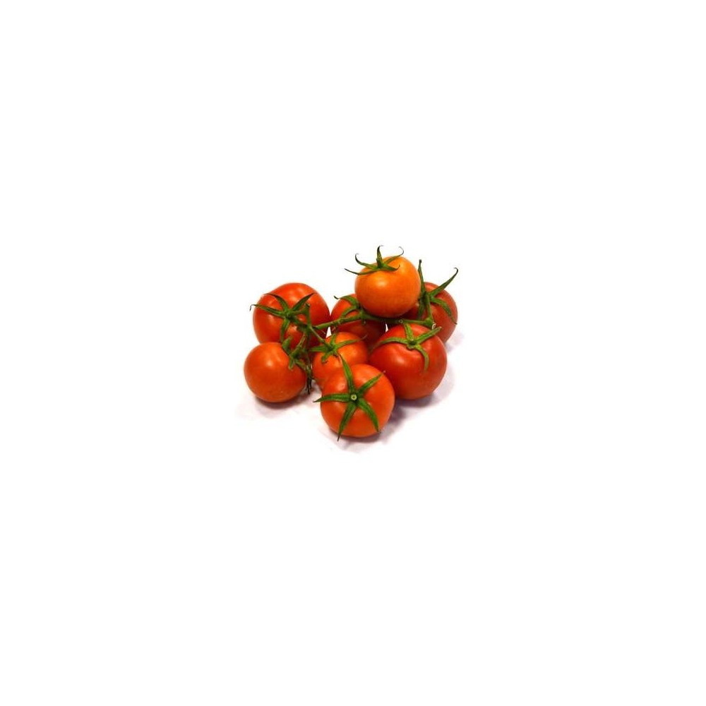 Tomates rondes grappes BIO, Espagne