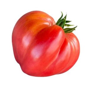 Tomates "cœur de bœuf" de Bretagne - Direct producteur, France