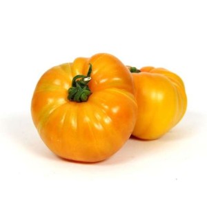 Tomates côtelées jaune "ananas" de Bretagne - Direct producteur, France