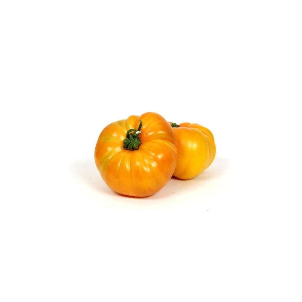 Tomates côtelées jaune "ananas" de Bretagne - Direct producteur, France