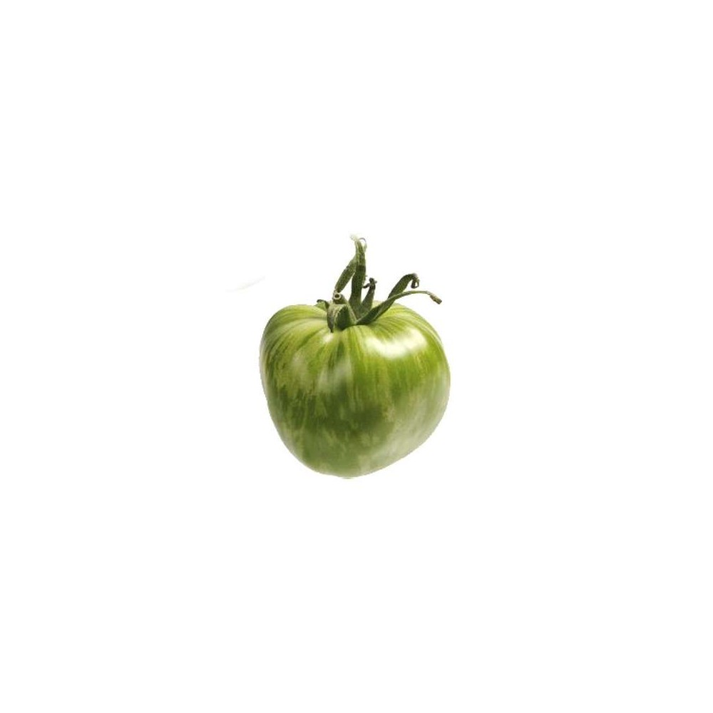 Tomates green zebra, France