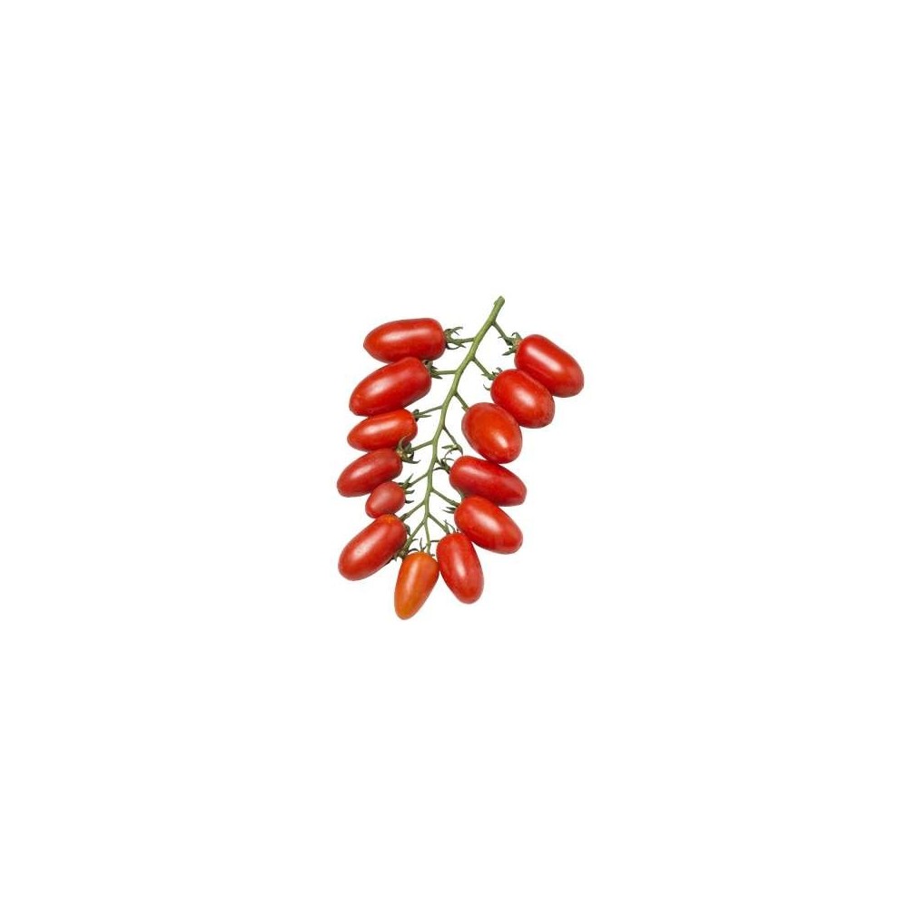 Frichti
Barquette de tomates cerises mini San-Marzano (250 g), France