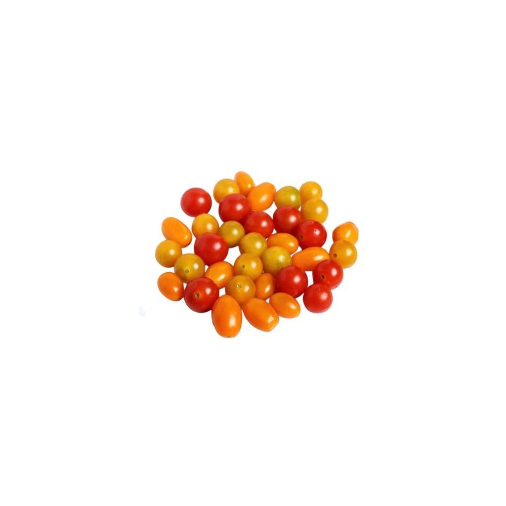 Barquette de tomates cerises duo de Bretagne - Direct producteur (250 g), France