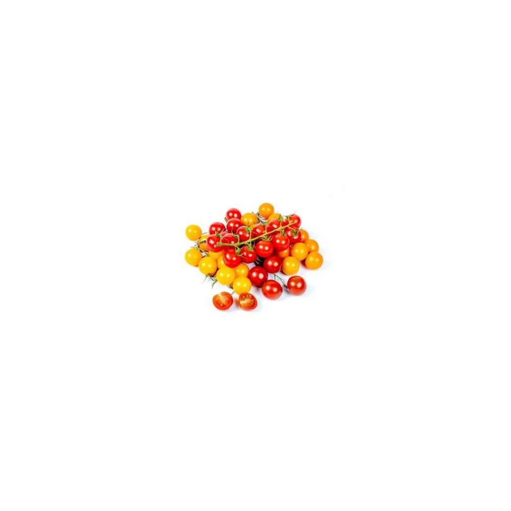Barquette de tomates cerises couleur "sans pesticides" de Bretagne - Direct producteur (350 g), France