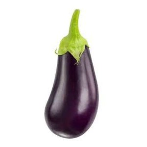 Aubergine (petit calibre), Espagne