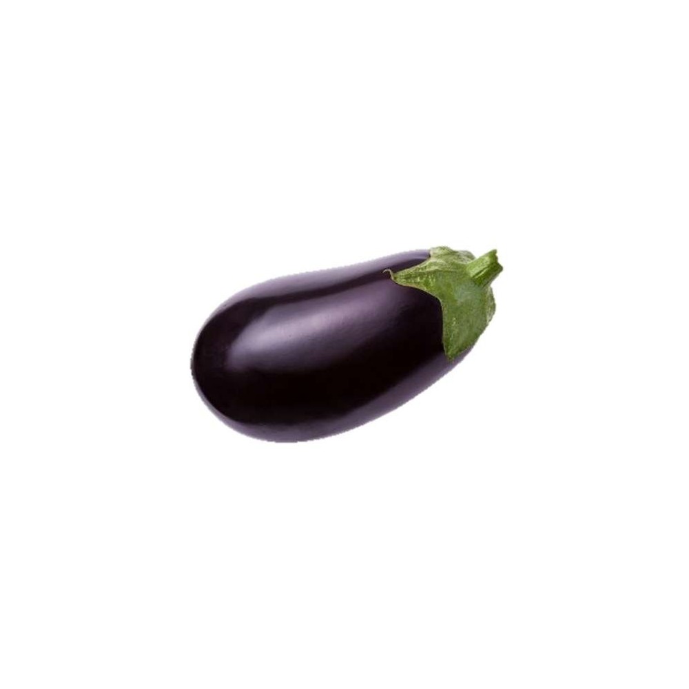 Aubergine BIO (150 à 250 g) (petit calibre), Espagne