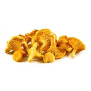 Girolles sauvages récoltés main en sous-bois (250 g), France