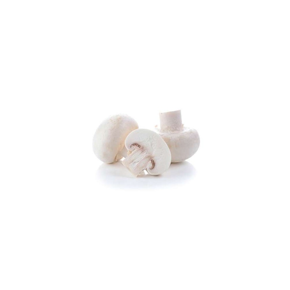 Champignons blancs (barquette de 250 g), Pologne