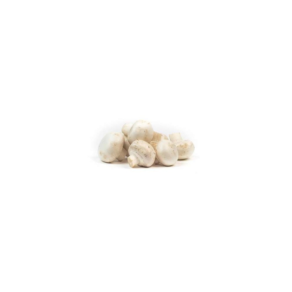 Champignon de Paris blanc BIO (barquette 200 g), France